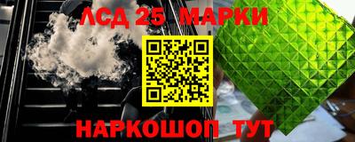 индика Нальчик