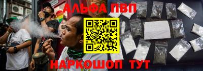 индика Нальчик