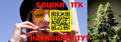 индика Нальчик