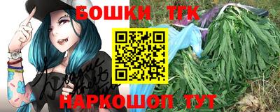 индика Нальчик