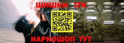 индика Нальчик