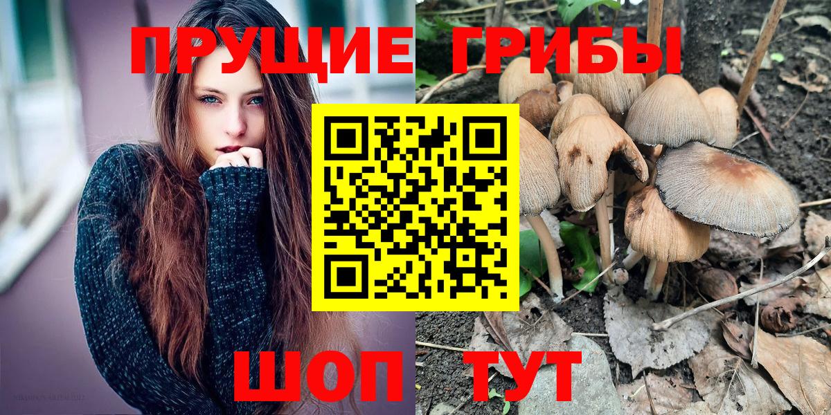 Псилоцибиновые грибы прущие грибы Шали